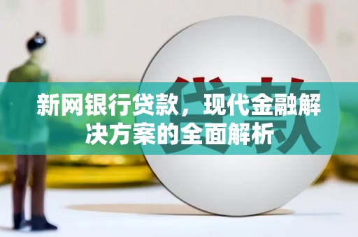 定远新网银行贷款，现代金融解决方案的全面解析