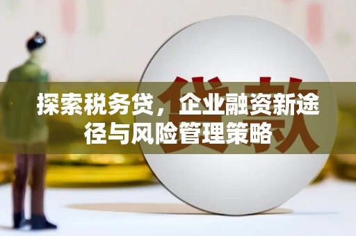 三湾探索税务贷，企业融资新途径与风险管理策略