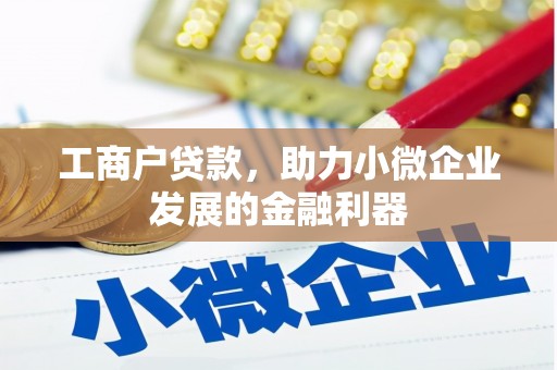 镇赉工商户贷款，助力小微企业发展的金融利器
