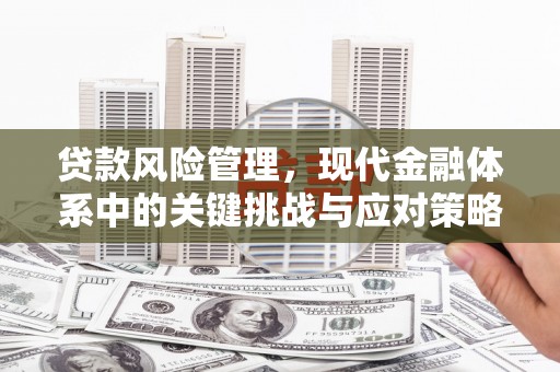 丰原贷款风险管理，现代金融体系中的关键挑战与应对策略