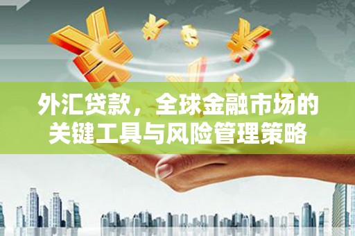万丹外汇贷款，全球金融市场的关键工具与风险管理策略