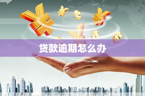 镇巴贷款逾期怎么办
