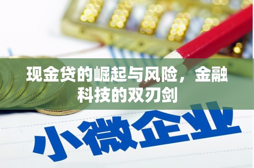 阳高现金贷的崛起与风险，金融科技的双刃剑