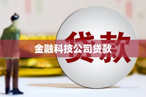 竹南金融科技公司贷款