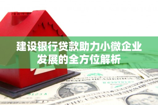 镇宁建设银行贷款助力小微企业发展的全方位解析