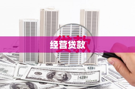 东坡经营贷款
