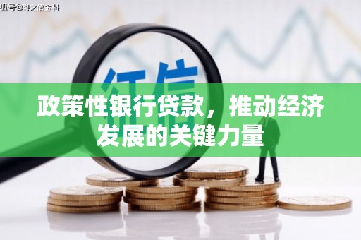 湖里政策性银行贷款，推动经济发展的关键力量
