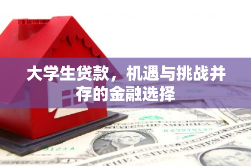 宝应县大学生贷款，机遇与挑战并存的金融选择