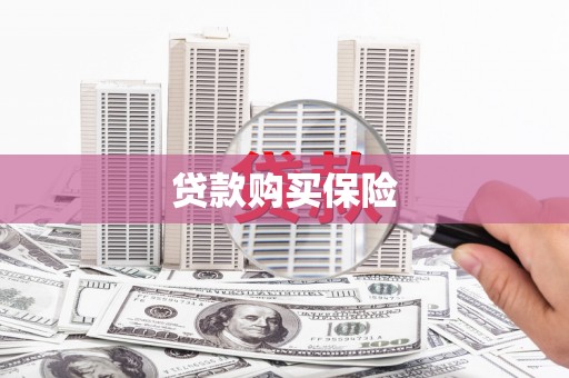 龙安贷款购买保险