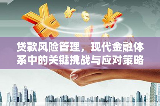 头屋贷款风险管理，现代金融体系中的关键挑战与应对策略