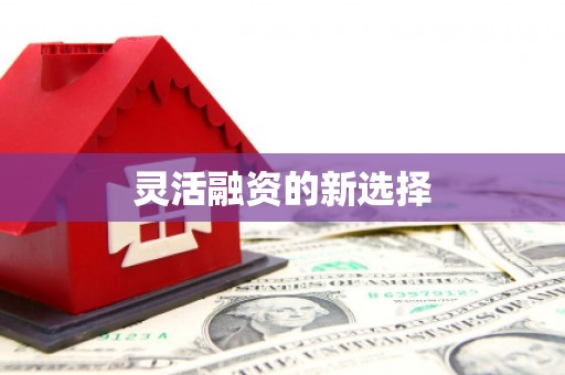 玉山灵活融资的新选择