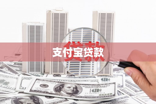 大东支付宝贷款