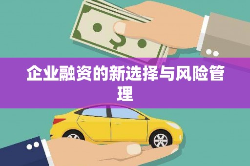 麻江企业融资的新选择与风险管理