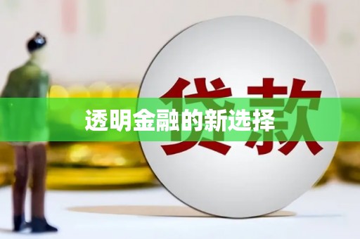 学甲透明金融的新选择