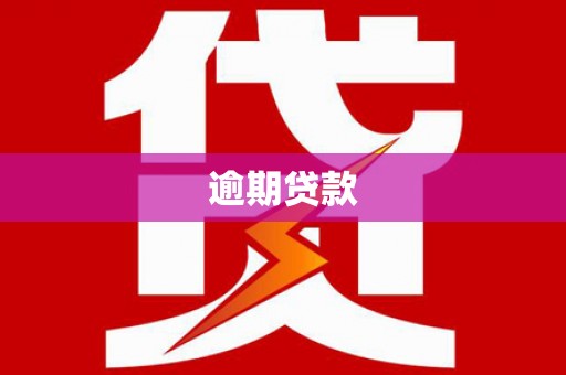 新林逾期贷款