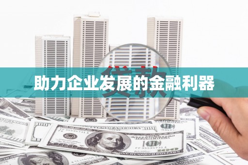 独山助力企业发展的金融利器