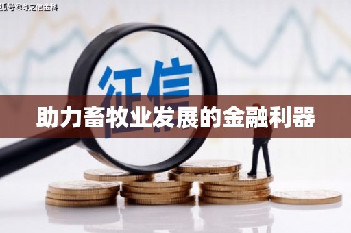 南宫助力畜牧业发展的金融利器