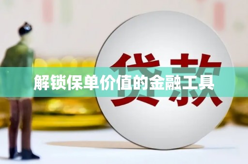 乌拉特中旗解锁保单价值的金融工具