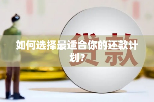 葫芦岛如何选择最适合你的还款计划？