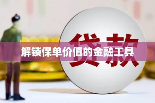 陆丰解锁保单价值的金融工具