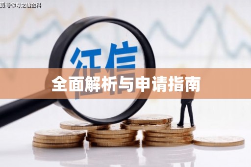 项城全面解析与申请指南